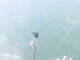 Detroit, Michigan 29.04.2025 10:48