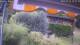 Bad Harzburg 12.07.2025 10:48