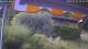 Bad Harzburg 14.07.2025 10:49