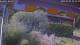 Bad Harzburg 03.07.2025 10:48