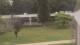 Cold Spring Harbor, New York 08.06.2025 10:34
