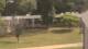 Cold Spring Harbor, New York 15.07.2025 10:34