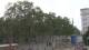Barcellona 14.06.2025 10:14
