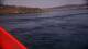 Saltstraumen 30.04.2025 10:13