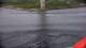 Saltstraumen 02.06.2025 10:12