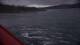 Saltstraumen 29.04.2025 10:13