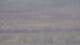 Les Landes-Genusson 15.06.2025 10:16