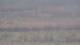 Les Landes-Genusson 09.06.2025 10:16