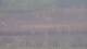 Les Landes-Genusson 05.07.2025 10:16