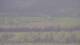 Les Landes-Genusson 09.05.2025 10:16