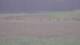Les Landes-Genusson 15.06.2025 10:16