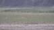 Les Landes-Genusson 17.03.2025 10:17