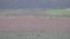 Les Landes-Genusson 10.07.2025 10:16