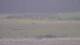 Les Landes-Genusson 09.05.2025 10:16