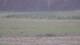 Les Landes-Genusson 11.05.2025 10:16