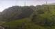 Stuben 08.06.2025 10:16