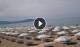 Paestum 12.07.2025 10:16