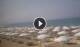 Paestum 14.06.2025 10:16