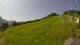 Sonnleitn 15.06.2025 10:04