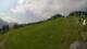 Sonnleitn 09.06.2025 10:04