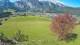 Abtenau 30.04.2025 10:17