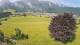 Abtenau 08.06.2025 10:17
