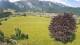 Abtenau 09.06.2025 10:17