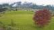 Abtenau 26.04.2025 10:17