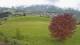 Abtenau 23.03.2025 10:17