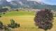 Abtenau 14.06.2025 10:17
