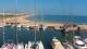Oliva 04.08.2026 10:50