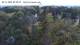 Jurmala 11.05.2025 10:18