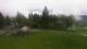 Cordon 08.05.2025 10:18