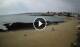 Corralejo (Fuerteventura) 14.06.2025 10:18