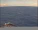 Mein Schiff 2 30.04.2025 10:19
