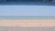 Henne Strand 12.07.2025 10:15