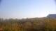 Zuydcoote 30.04.2025 10:19