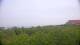 Zuydcoote 09.06.2025 10:19