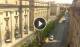 Floriana 08.07.2025 10:19