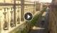 Floriana 13.07.2025 10:27