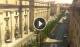 Floriana 09.06.2025 10:19
