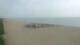 Argelès-sur-Mer 15.06.2025 10:19