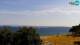 Izola 04.07.2025 10:19