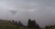 Bürserberg 08.05.2025 10:20
