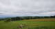 Grebenhain 10.07.2025 10:20