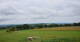 Grebenhain 11.07.2025 10:20