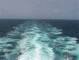 Costa Diadema 30.04.2025 10:20