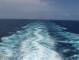 Costa Diadema 29.04.2025 11:20