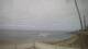 Maspalomas (Gran Canaria) 08.07.2025 10:21