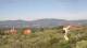 Pietrapiana 15.05.2025 10:22